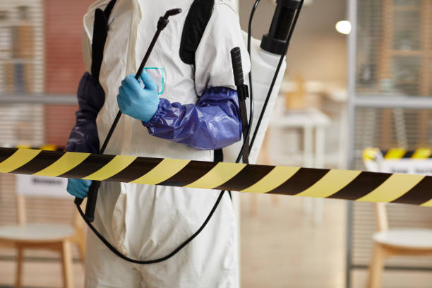 Professional Sewage Cleanup technician working in Tooele, UT